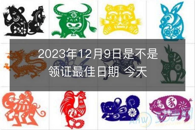 2023年12月9日是不是领证最佳日期 今天领证会幸福吗