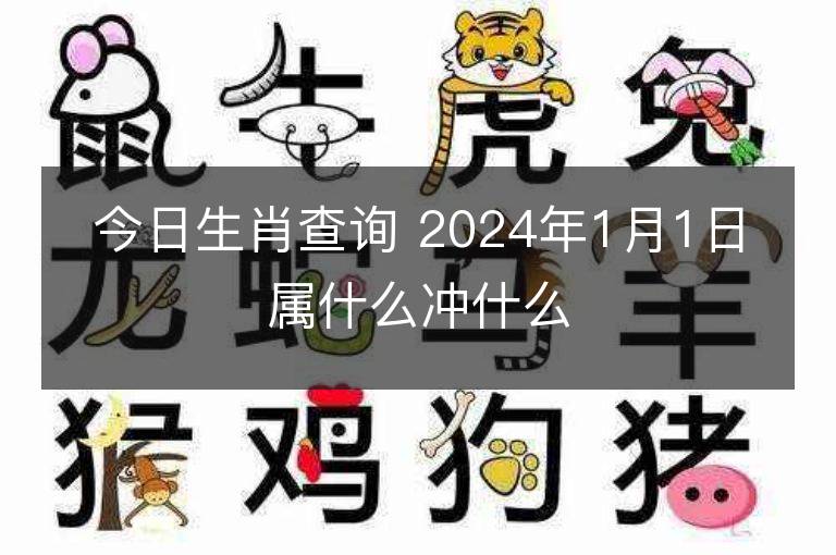 今日生肖查询 2024年1月1日属什么冲什么