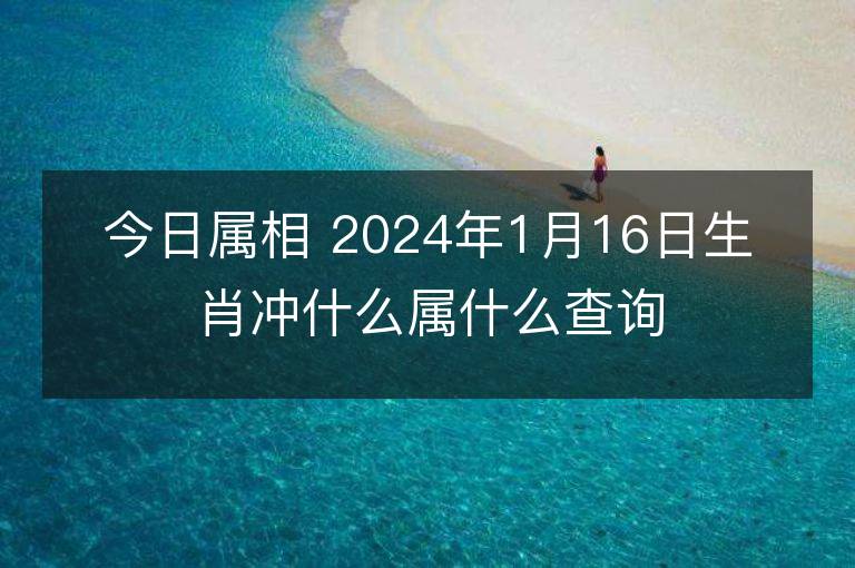 今日属相 2024年1月16日生肖冲什么属什么查询