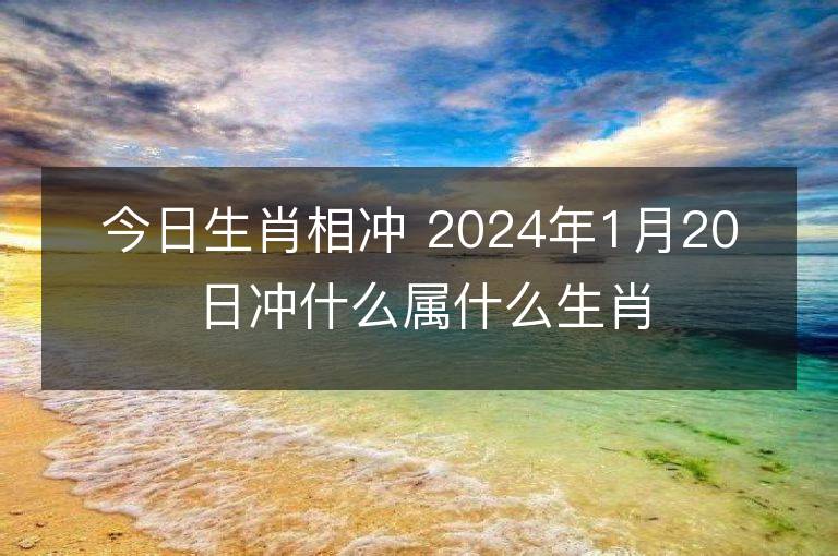 今日生肖相冲 2024年1月20日冲什么属什么生肖