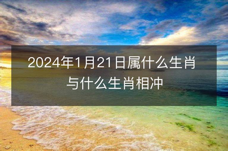 2024年1月21日属什么生肖 与什么生肖相冲