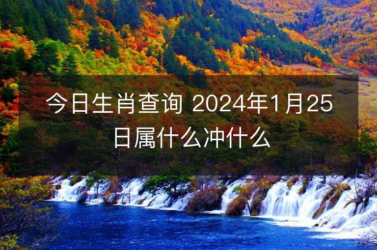 今日生肖查询 2024年1月25日属什么冲什么