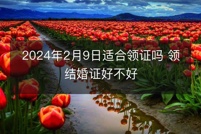 2024年2月9日适合领证吗 领结婚证好不好