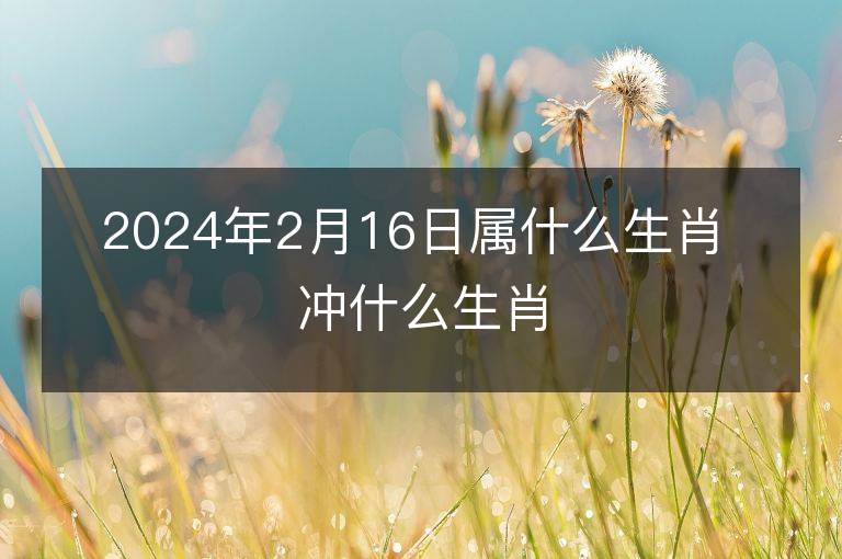 2024年2月16日属什么生肖 冲什么生肖