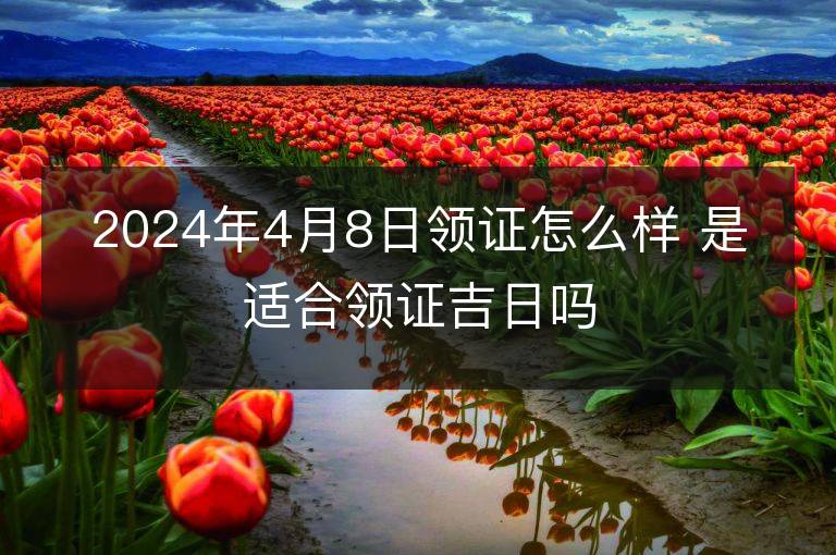 2024年4月8日领证怎么样 是适合领证吉日吗