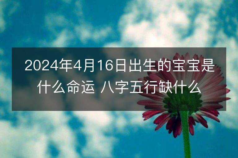 2024年4月16日出生的宝宝是什么命运 八字五行缺什么