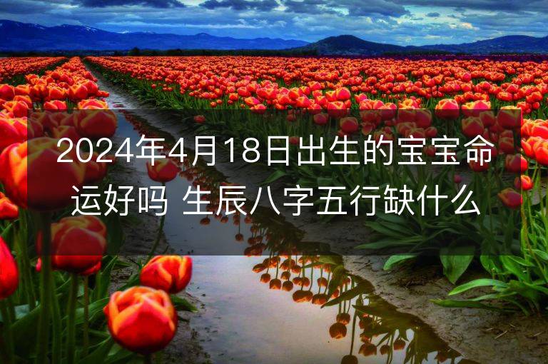 2024年4月18日出生的宝宝命运好吗 生辰八字五行缺什么