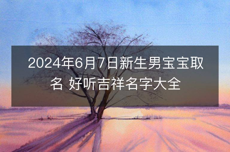 2024年6月7日新生男宝宝取名 好听吉祥名字大全