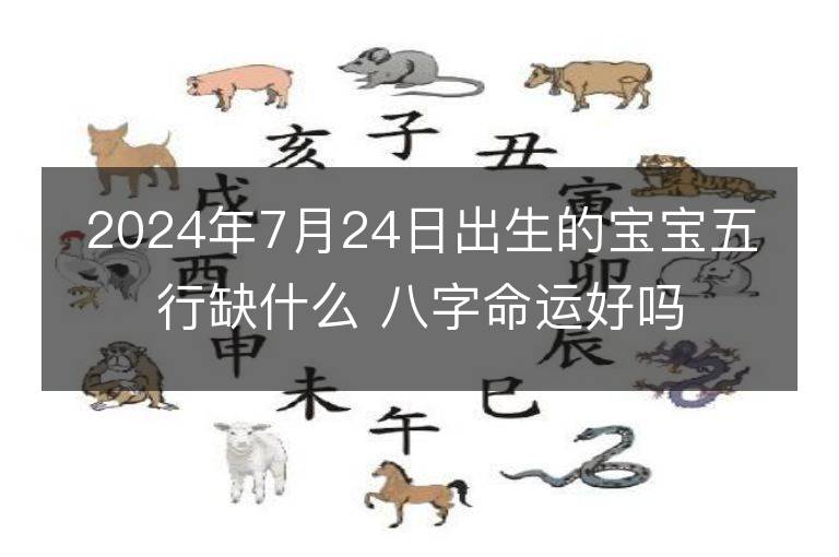 2024年7月24日出生的宝宝五行缺什么 八字命运好吗