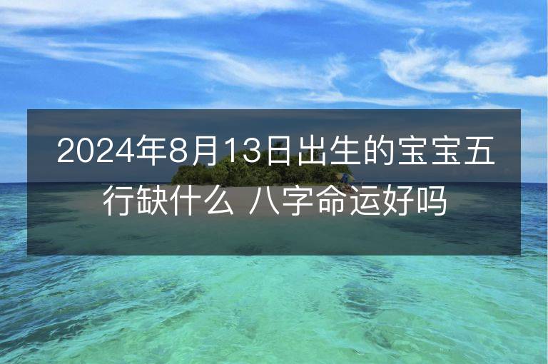 2024年8月13日出生的宝宝五行缺什么 八字命运好吗