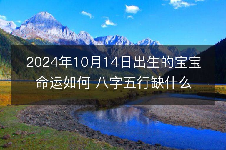 2024年10月14日出生的宝宝命运如何 八字五行缺什么