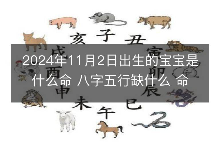 2024年11月2日出生的宝宝是什么命 八字五行缺什么 命好吗