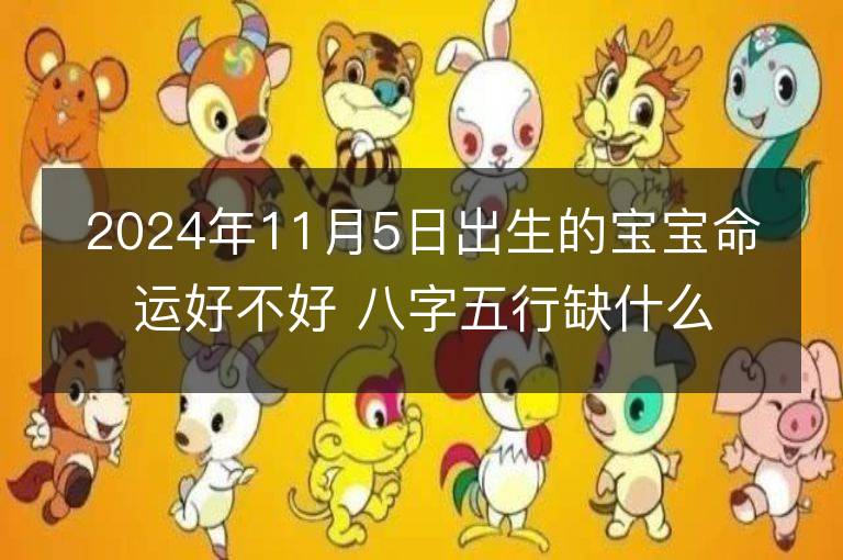 2024年11月5日出生的宝宝命运好不好 八字五行缺什么