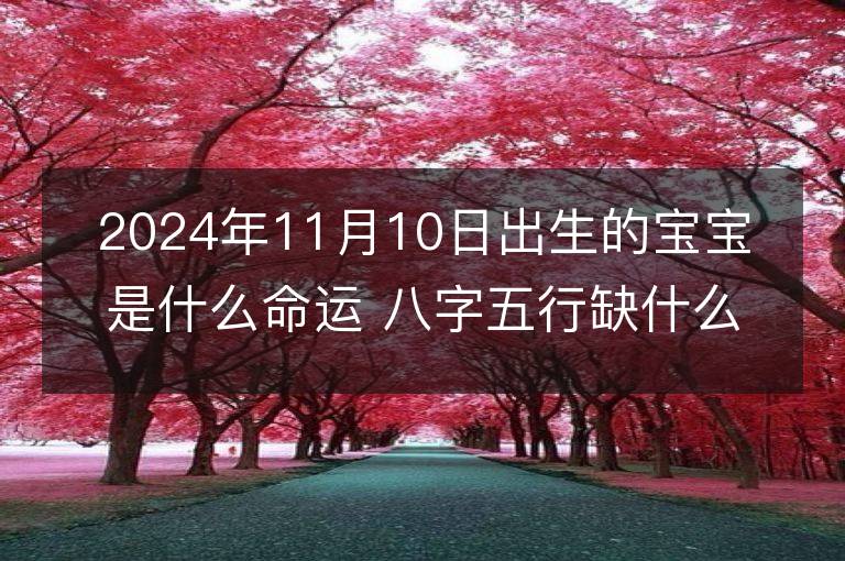 2024年11月10日出生的宝宝是什么命运 八字五行缺什么