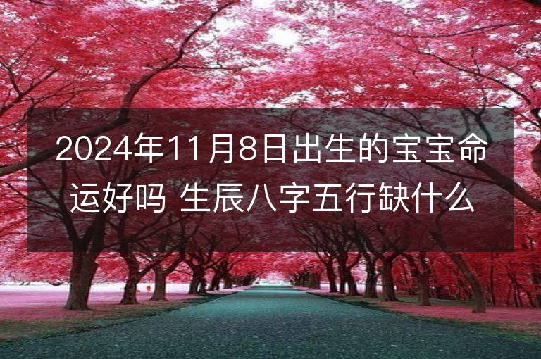 2024年11月8日出生的宝宝命运好吗 生辰八字五行缺什么