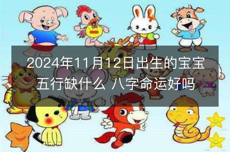 2024年11月12日出生的宝宝五行缺什么 八字命运好吗