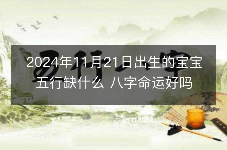 2024年11月21日出生的宝宝五行缺什么 八字命运好吗