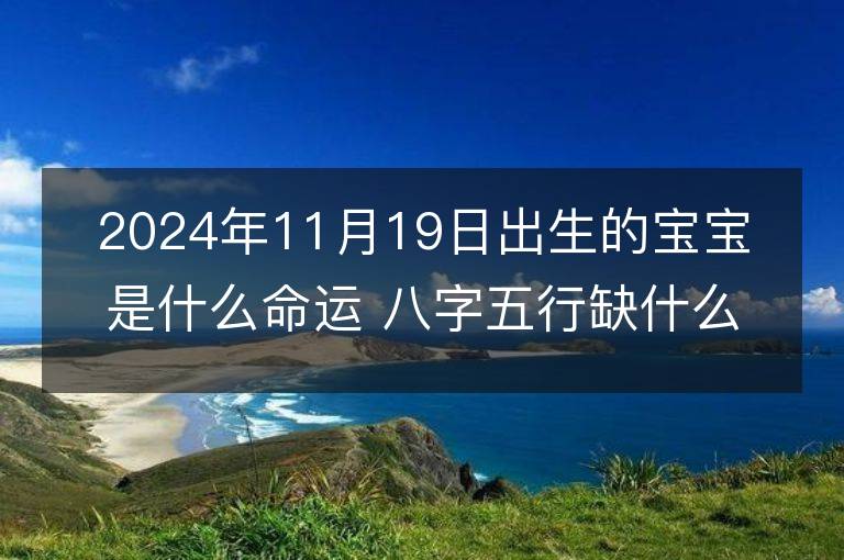 2024年11月19日出生的宝宝是什么命运 八字五行缺什么