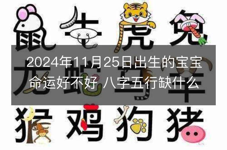 2024年11月25日出生的宝宝命运好不好 八字五行缺什么