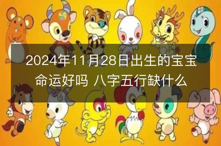 2024年11月28日出生的宝宝命运好吗 八字五行缺什么