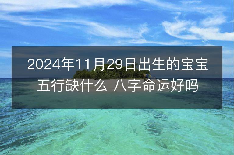 2024年11月29日出生的宝宝五行缺什么 八字命运好吗