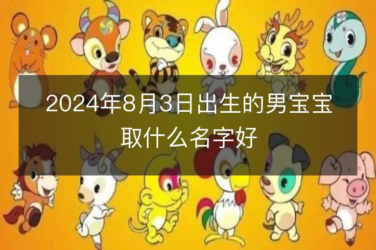 2024年8月3日出生的男宝宝取什么名字好