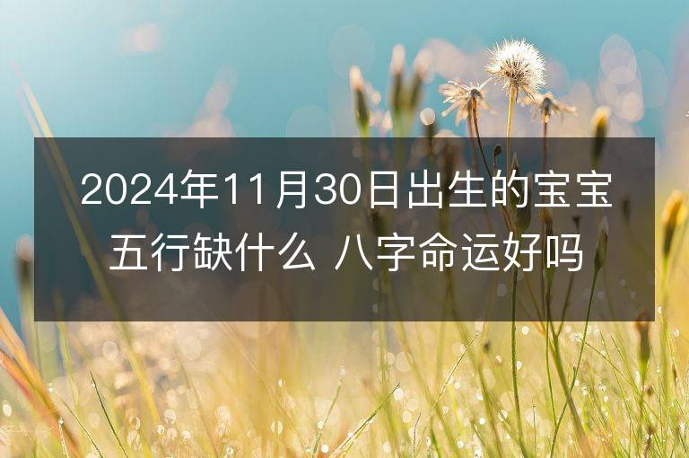 2024年11月30日出生的宝宝五行缺什么 八字命运好吗