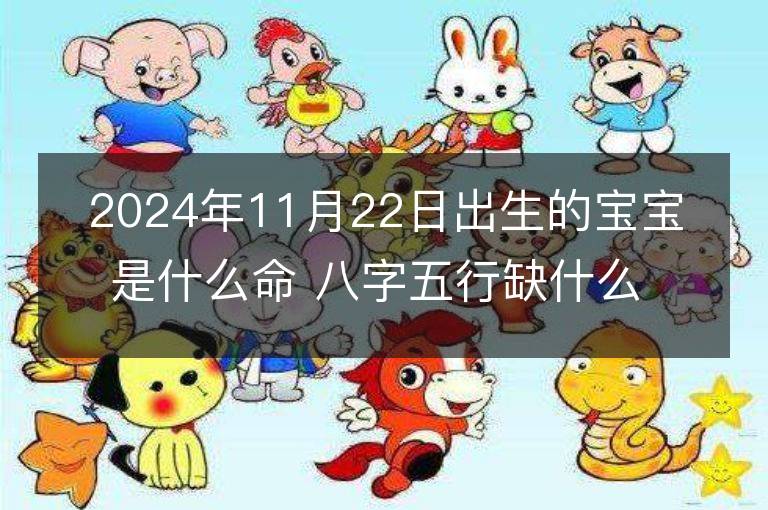 2024年11月22日出生的宝宝是什么命 八字五行缺什么 命好吗