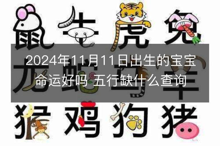 2024年11月11日出生的宝宝命运好吗 五行缺什么查询