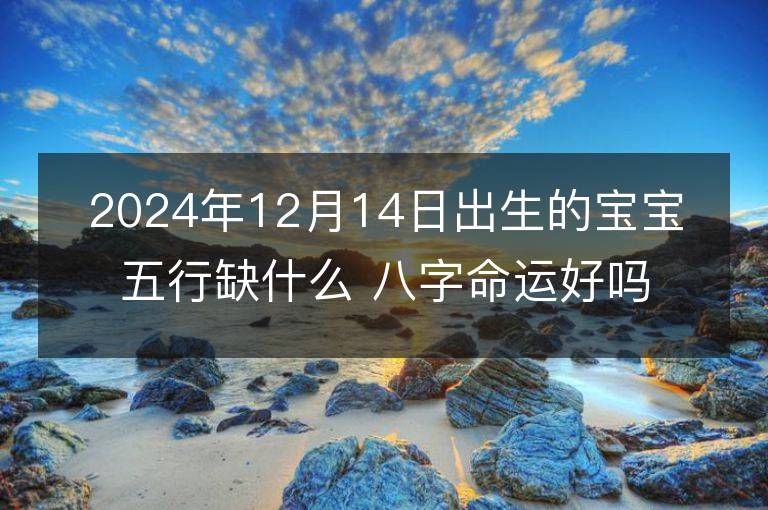 2024年12月14日出生的宝宝五行缺什么 八字命运好吗