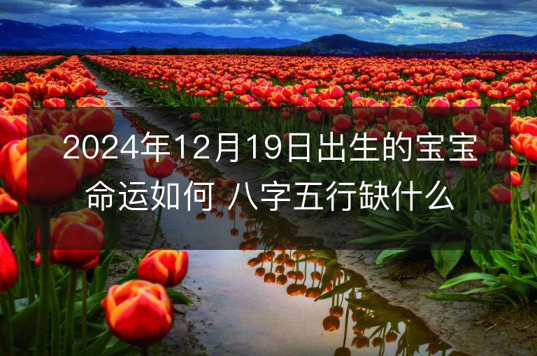 2024年12月19日出生的宝宝命运如何 八字五行缺什么