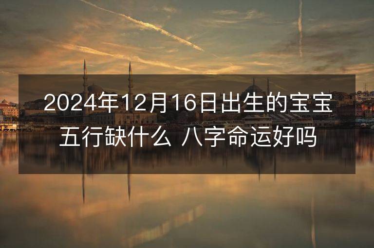 2024年12月16日出生的宝宝五行缺什么 八字命运好吗