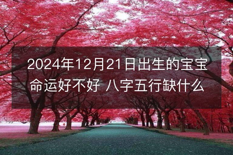 2024年12月21日出生的宝宝命运好不好 八字五行缺什么