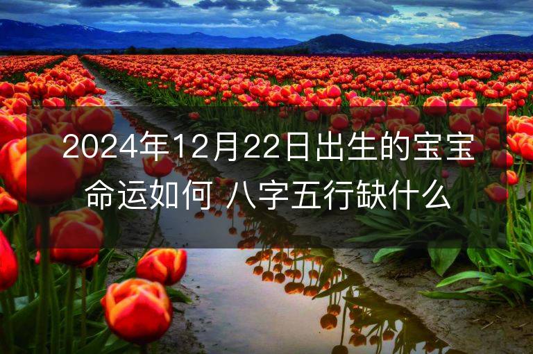 2024年12月22日出生的宝宝命运如何 八字五行缺什么