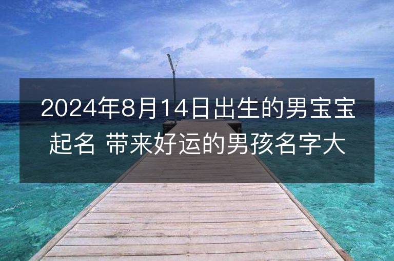 2024年8月14日出生的男宝宝起名 带来好运的男孩名字大全