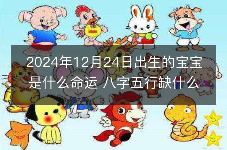 2024年12月24日出生的宝宝是什么命运 八字五行缺什么