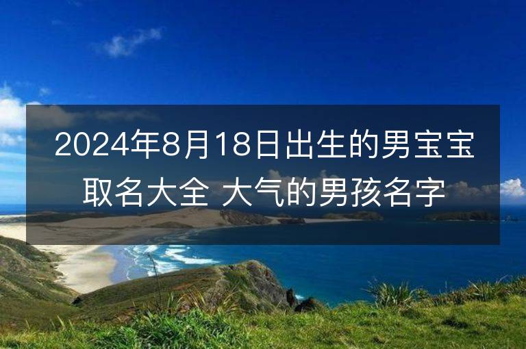 2024年8月18日出生的男宝宝取名大全 大气的男孩名字