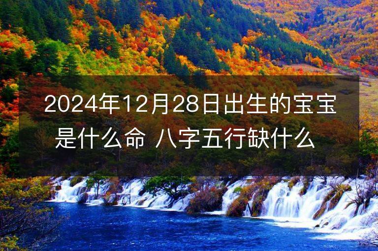 2024年12月28日出生的宝宝是什么命 八字五行缺什么 命好吗