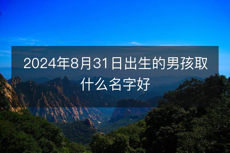 2024年8月31日出生的男孩取什么名字好