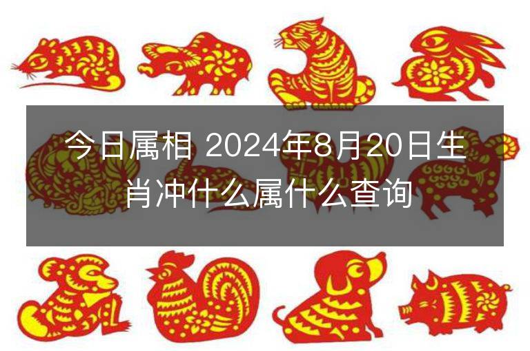 今日属相 2024年8月20日生肖冲什么属什么查询