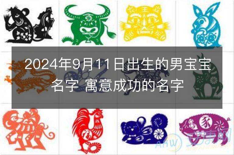 2024年9月11日出生的男宝宝名字 寓意成功的名字