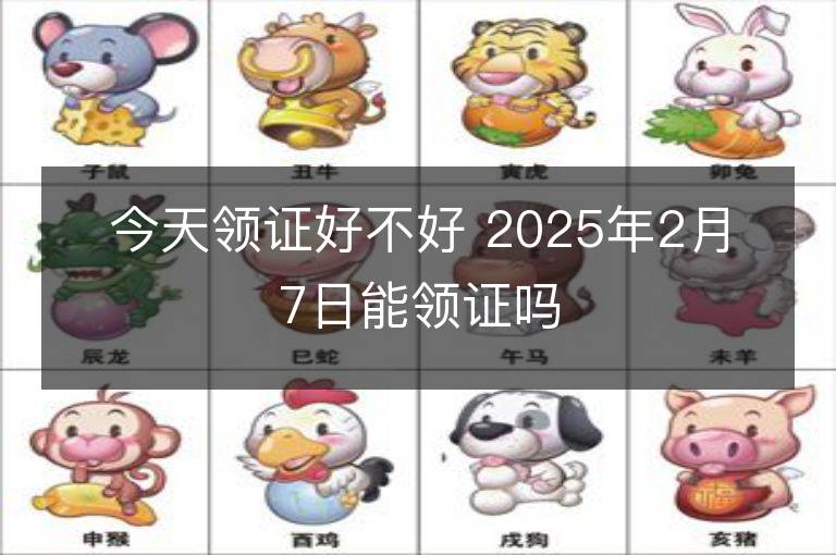 今天领证好不好 2025年2月7日能领证吗