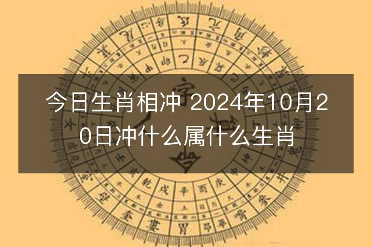 今日生肖相冲 2024年10月20日冲什么属什么生肖