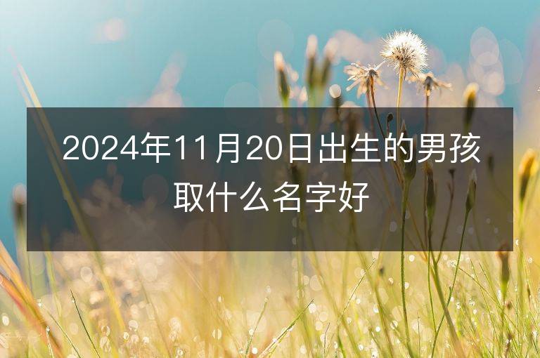 2024年11月20日出生的男孩取什么名字好