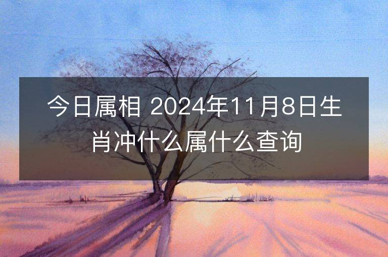 今日属相 2024年11月8日生肖冲什么属什么查询