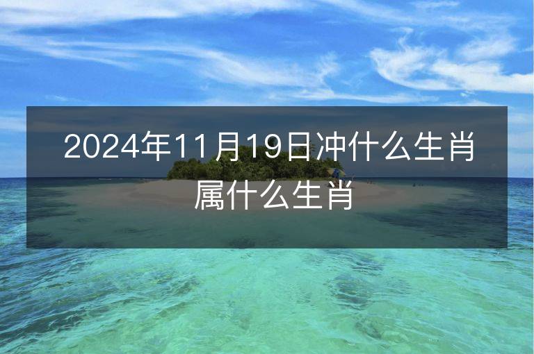 2024年11月19日冲什么生肖 属什么生肖