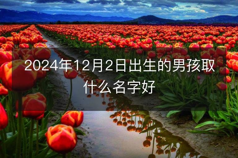 2024年12月2日出生的男孩取什么名字好