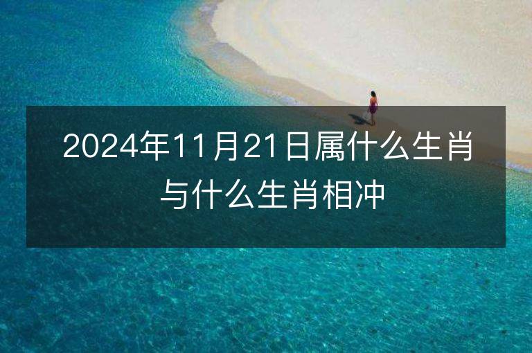 2024年11月21日属什么生肖 与什么生肖相冲