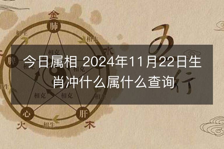 今日属相 2024年11月22日生肖冲什么属什么查询