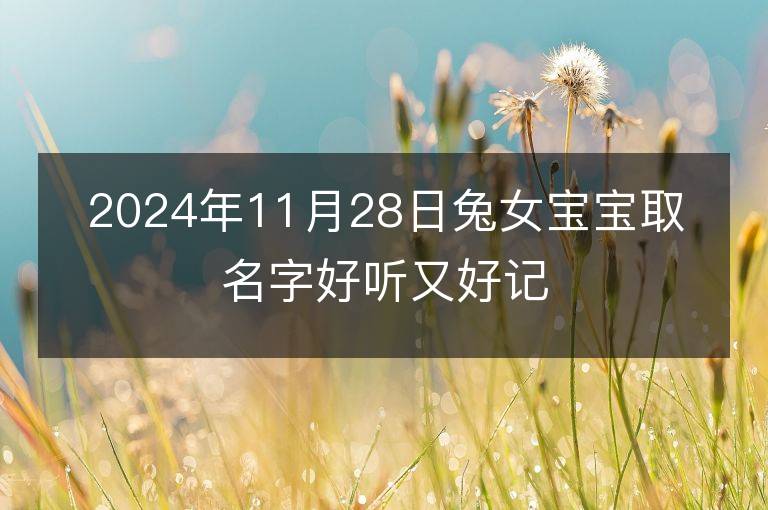 2024年11月28日兔女宝宝取名字好听又好记